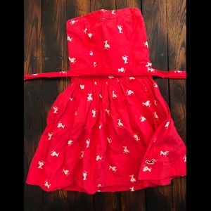 Red Pelican Hollister Fit and Flare Dress